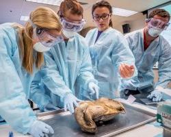 水生生物实验室的学生