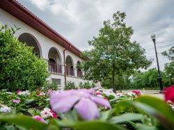 Campus in the spring